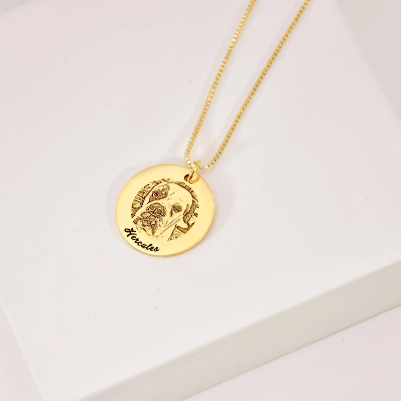 Pet necklace