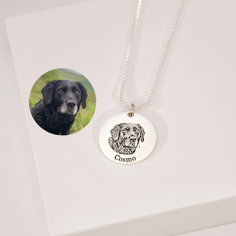 Pet necklace